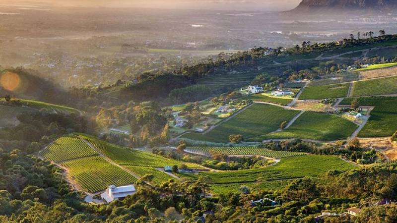 Full-day Cape Point and Constantia Wine Tasting Private Tour from Cape Town