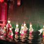 Hoi An afternoon tour with water puppet show on Tuesday or Friday or Saturday