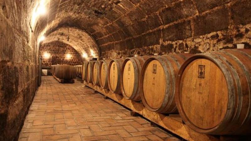 Etyek Wine Country Tour with Dinner from Budapest