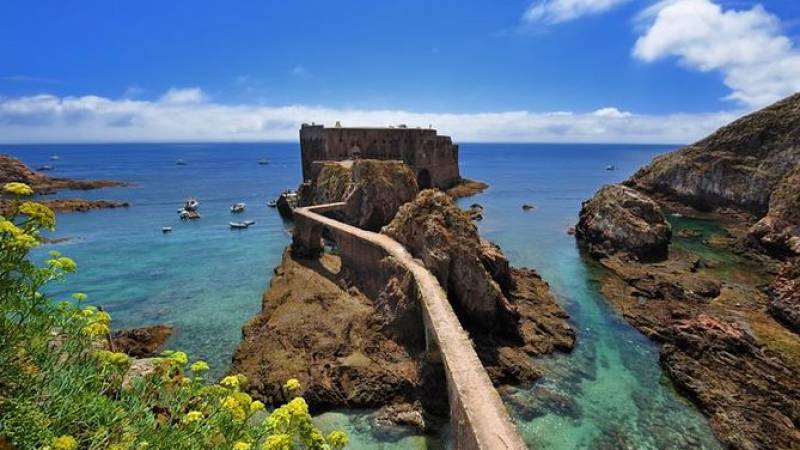 Berlenga Island Small-Group Day Trip from Lisbon