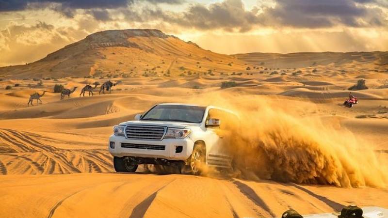 Dubai Red Dune Desert Safari: Camel Ride, Sandboarding & BBQ Options