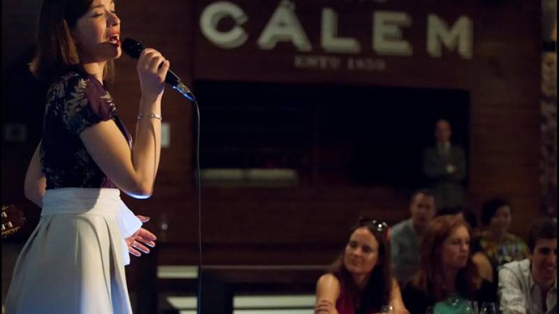 Fado Show in Porto Cálem Wine Cellars Including Wine Tasting and Visit