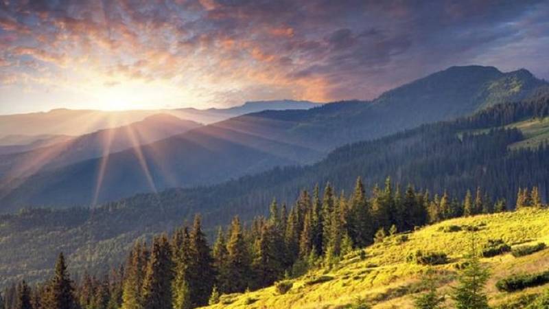 Mt. Vitosha and Boyana Waterfall Hiking Tour from Sofia