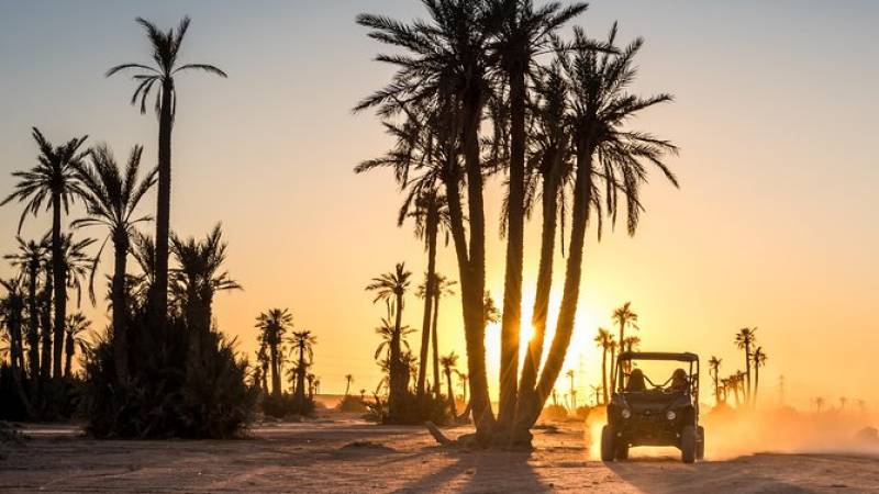 Marrakech Desert and Palm Grove Buggy Tour Including Berber Village
