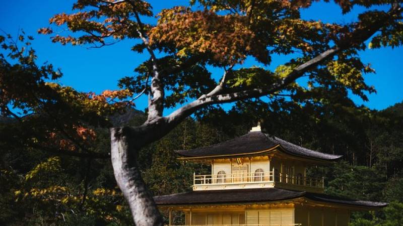 Day Trip by Bus to Kyoto, Nara and Kobe from Osaka