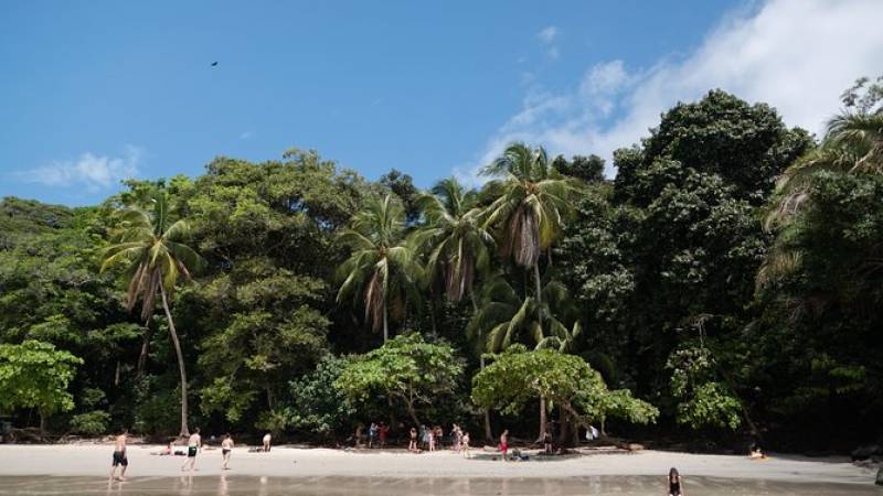 Manuel Antonio National Park Day Trip from San Jose