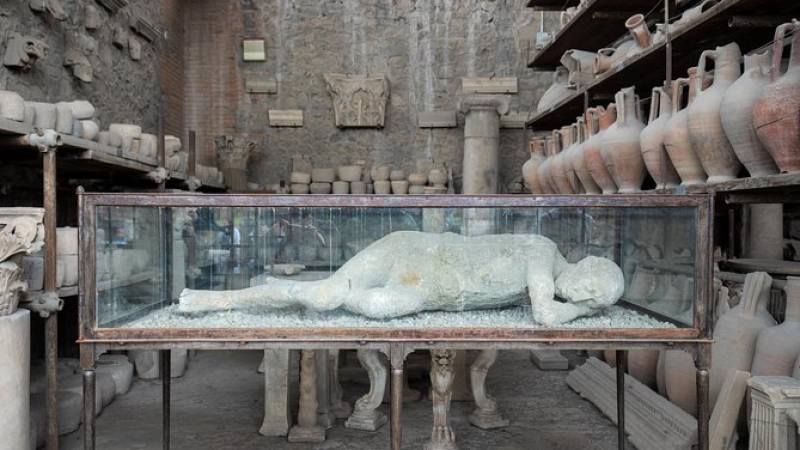 Pompeii Ruins & Mt Vesuvius Volcano with Lunch from Rome
