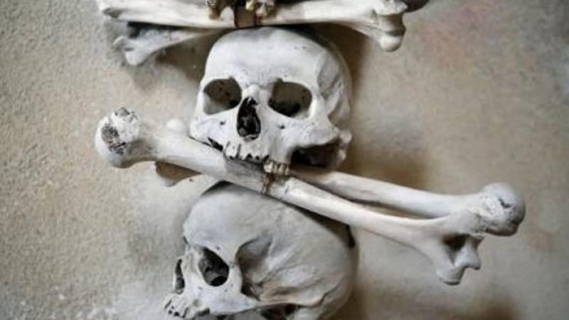 Kutna Hora Day Trip from Prague