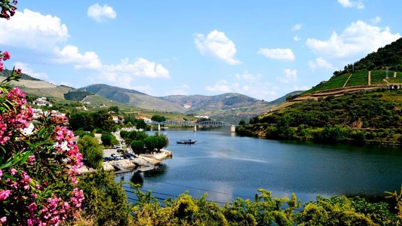 Douro Valley Small-Group Tour with Wine Tasting, Portuguese Lunch and Optional River Cruise