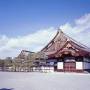 Kyoto in One Day Tour with Nijo Castle and Kiyomizu Temple