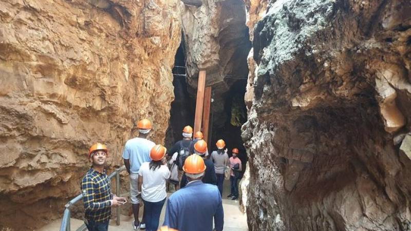 Full-Day Cradle of Human Kind Tour from Johannesburg - Origin of Human Kind Tour