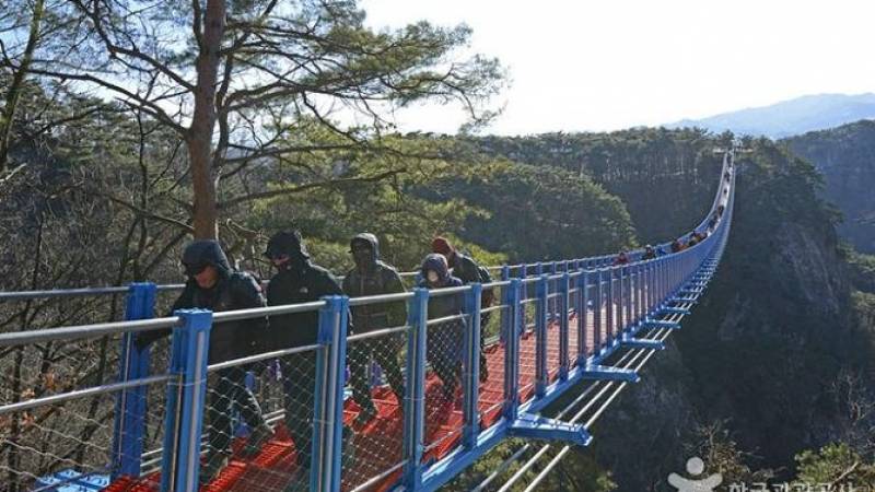 Wonju Suspension Bridge One Day Tour