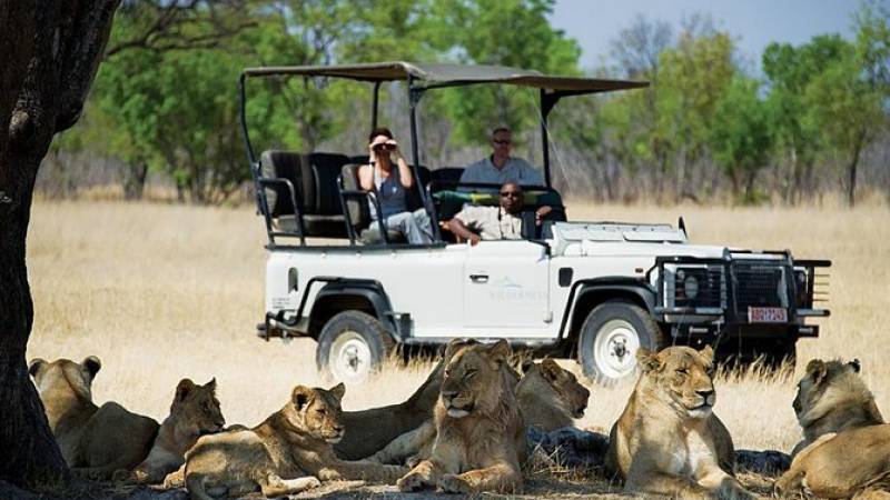 Hwange National Park Day Trip from Victoria Falls