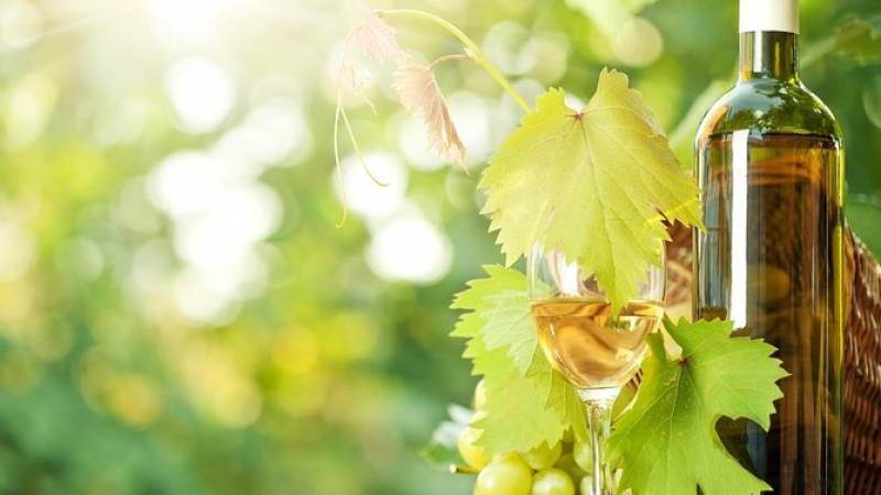 Sightseeing & Wine story from Korcula