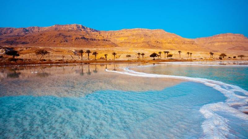 Private Half-Day Tour to the Dead Sea from Amman