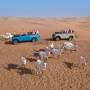 Dubai Desert Land Rover Safari with Dinner and Show from Dubai