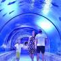Skip the Line: Hurghada Grand Aquarium Entrance Ticket
