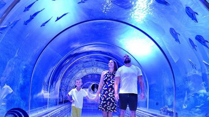 Skip the Line: Hurghada Grand Aquarium Entrance Ticket