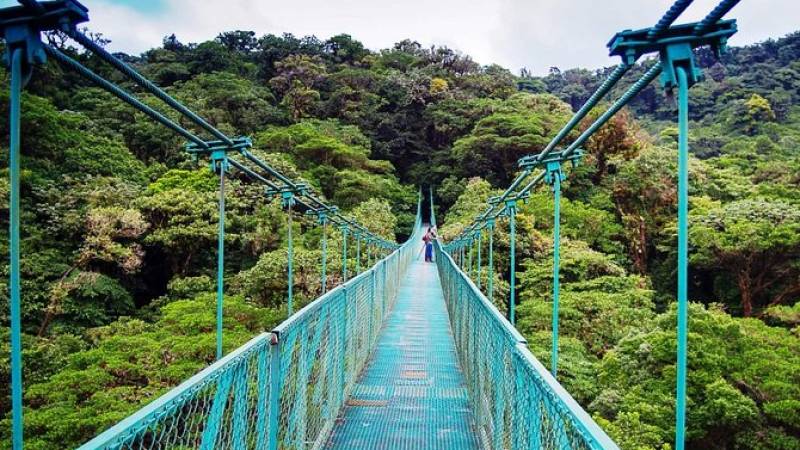 Monteverde Hanging Bridges Day Trip from San Jose