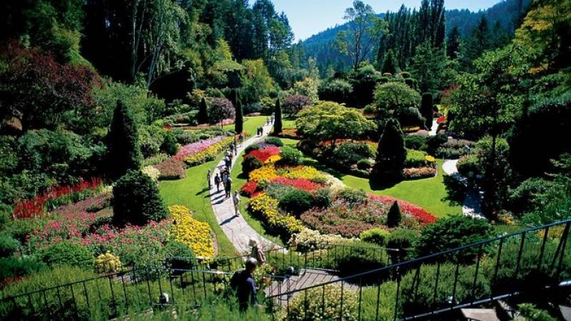 Victoria and Butchart Gardens Tour from Vancouver