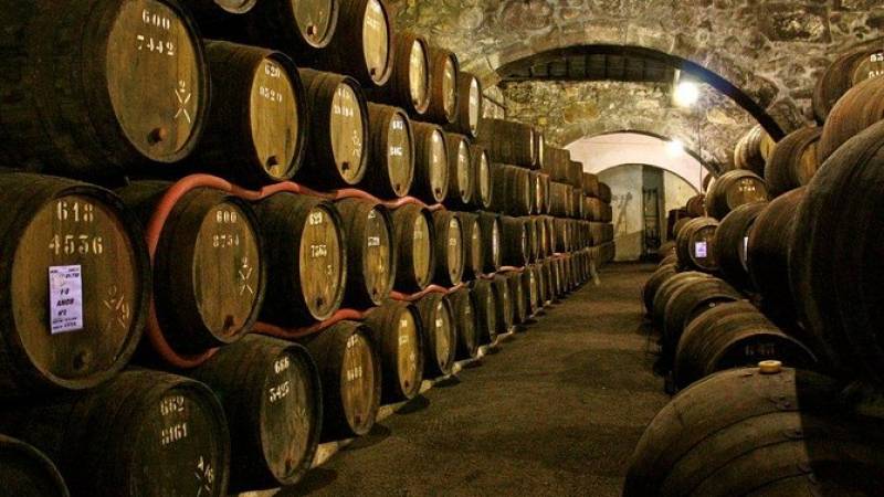 Wine Tour Porto