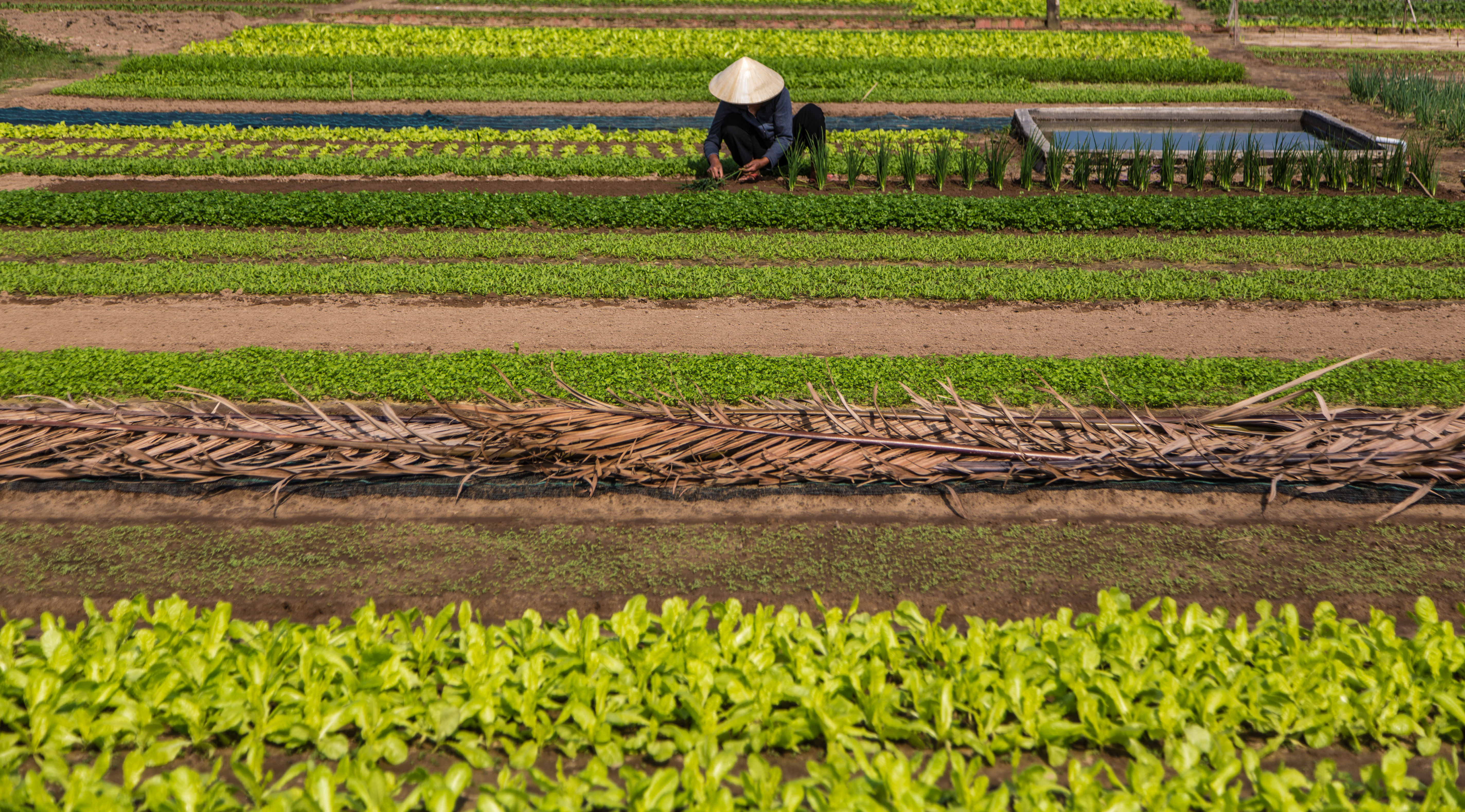 Day 6 - Hoi An