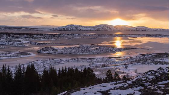 10 Interesting Facts About Reykjavik (4 minute read) Article Image