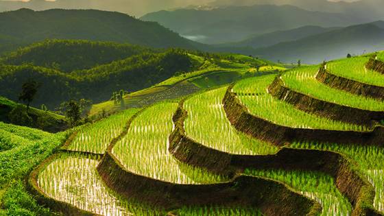 Do You Need a Visa to Visit Vietnam From the US? (11 minute read) Article Image