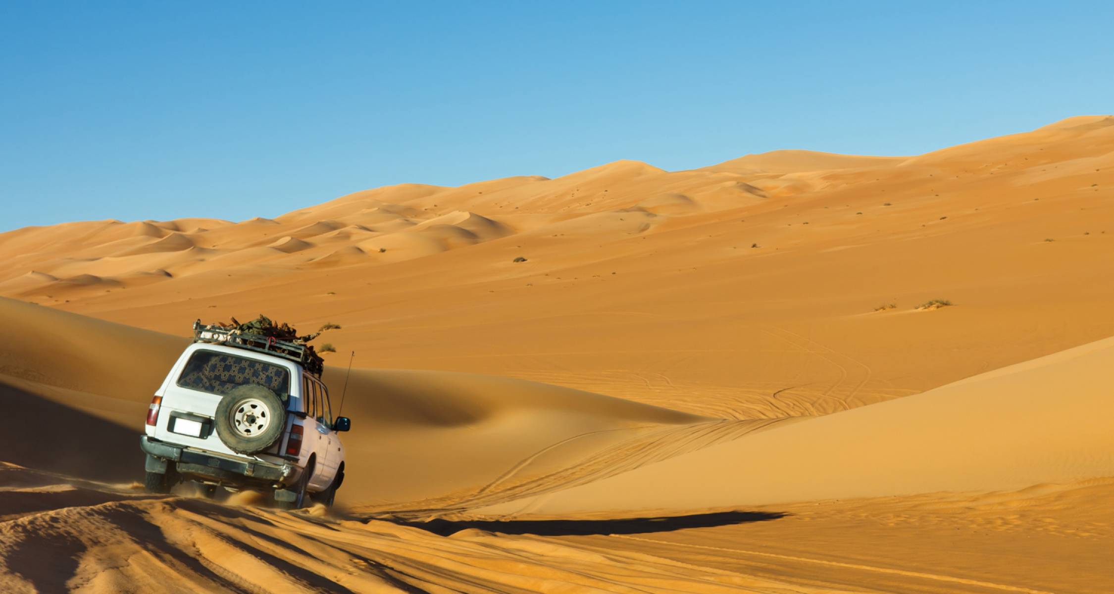Safari nel Sahara