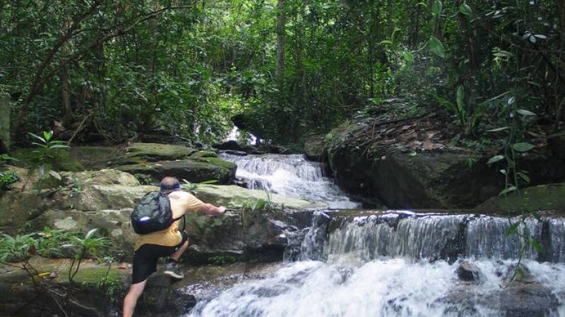 6-Hour Hike and Bike in Doi Suthep Pui National Park Combo from Chiang Mai