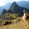 Looking out across the lost Inca citadel of Machu Picchu