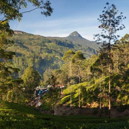 Adam's Peak - On The Go Tours