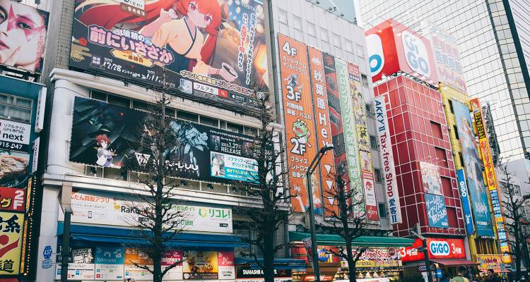 Tokyo Anime Adventure On The Go Tours (From UK)