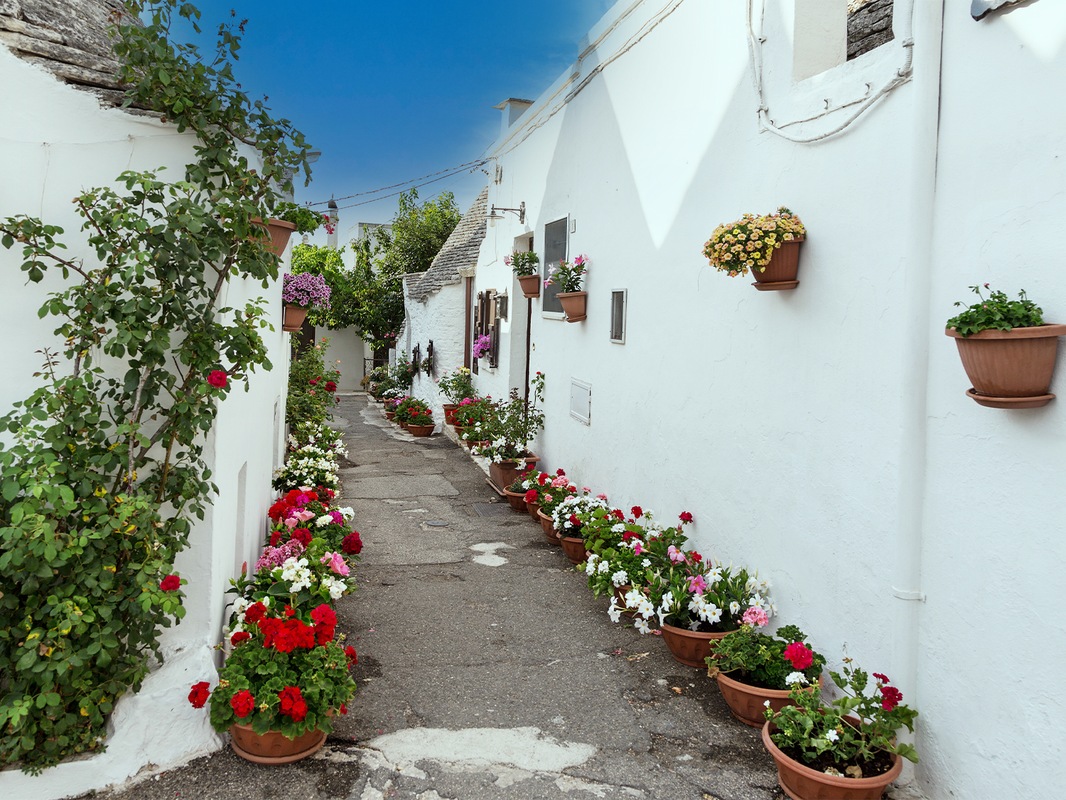 Classic Puglia - 9 days