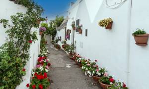 Alberobello white street - Italy