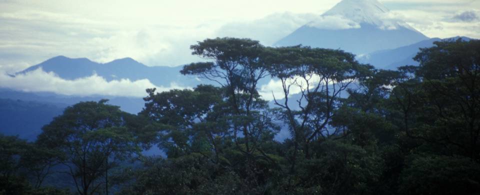 Misty clouds over the Amazon Jungle in Ecuador