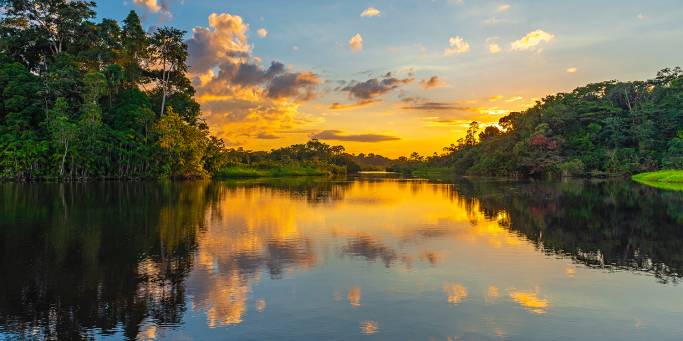 Lake Sandoval | Amazon Jungle | Peru