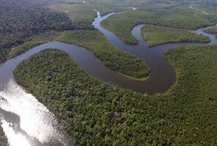 Amazon jungle - Best places to visit in Brazil - On The Go Tours