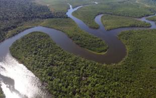 Amazon jungle - Best places to visit in Brazil - On The Go Tours