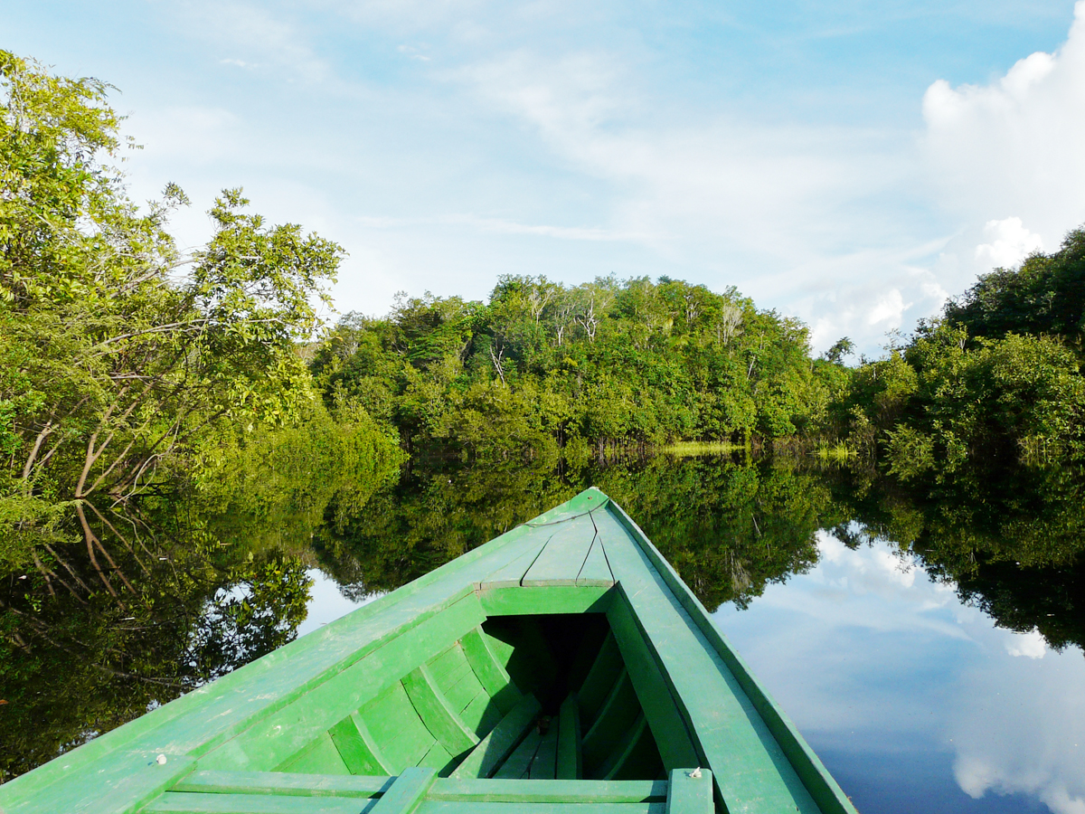 Day 4 - Puerto Maldonado and the Amazon