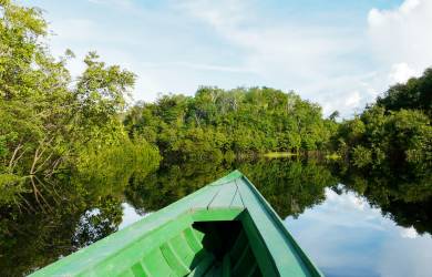 The Amazon | South America