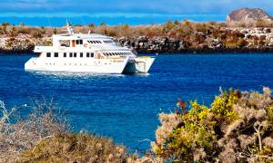 Anahi Catamaran South Plazas