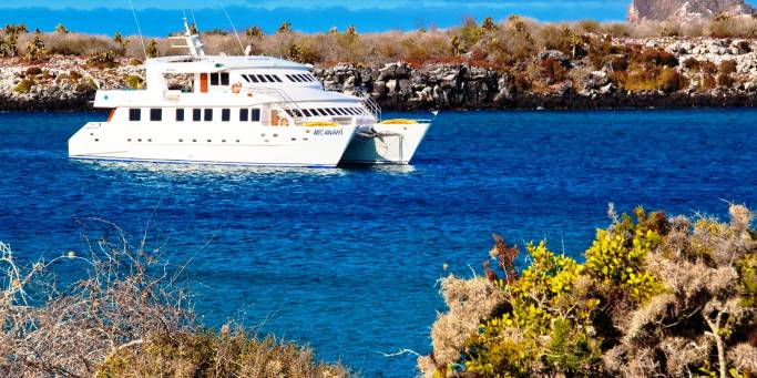 The Anahi Catamaran | The Galapagos Islands | Ecuador | South America