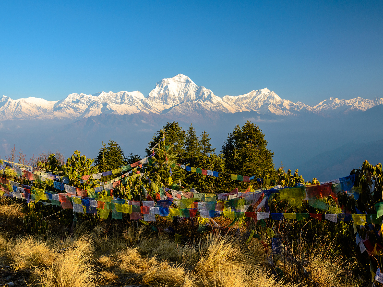 Annapurna Poon Hill Trek - 10 days