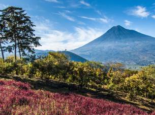 Antigua Top Spot Guatemala