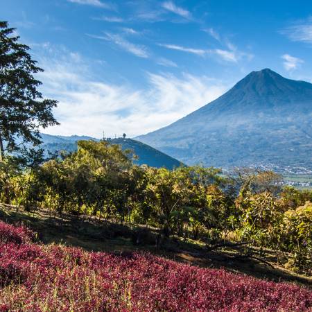 Antigua Top Spot Guatemala