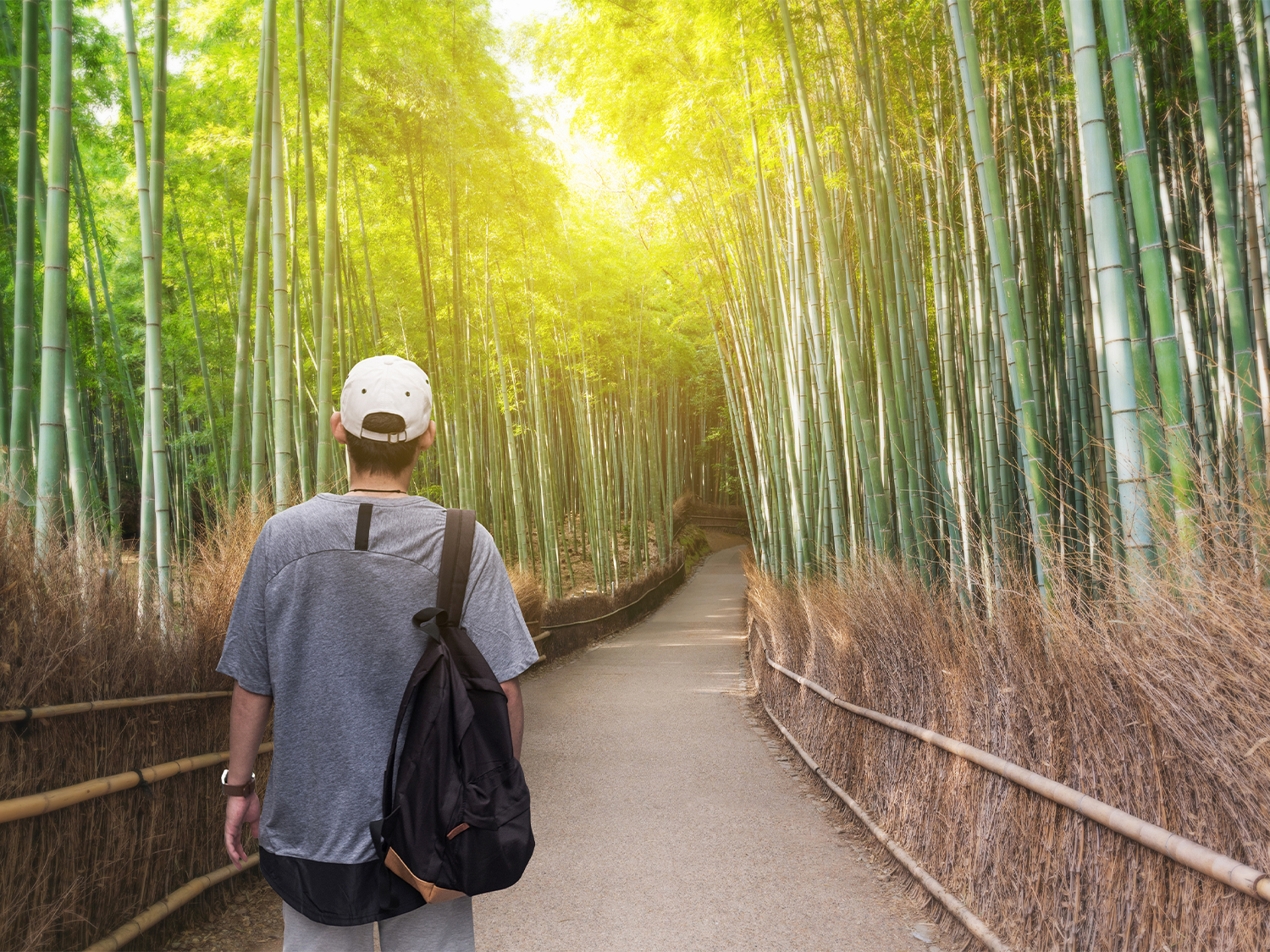 Classic Japan Youth Adventure - 14 days