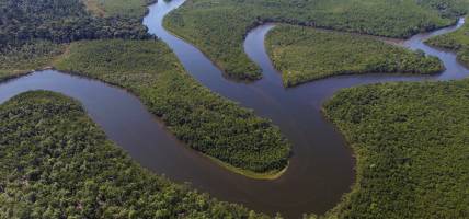 Areila View of the Amazon rainforest in Brazil - menu image