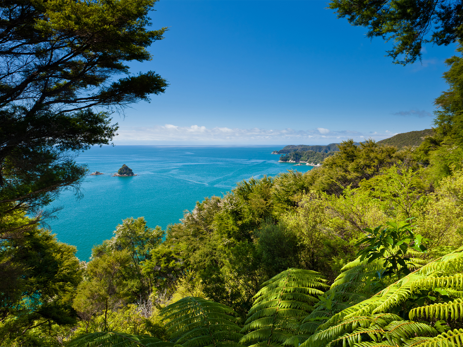 Day 9 - Abel Tasman National Park