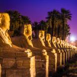 Avenue of Sphinxes | Luxor | Egypt